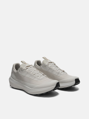 Arc'teryx Norvan LD 4 GTX Arctic SIlk/Arctic Silk, Sneakers