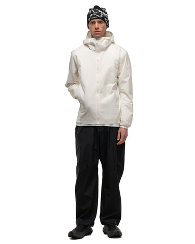 Arc'teryx Atom Hoody M Whiteout, Outerwear