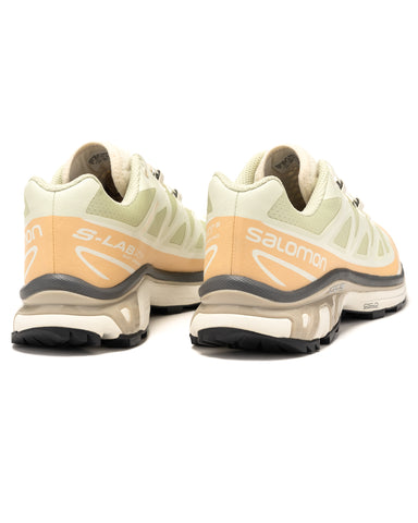 Salomon Advanced XT-6 Aloe Wash/Hazelnut/Feather Gray, Footwear