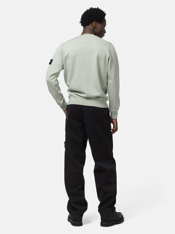 Back shot of the model wearing the Stone Island Organic Cotton Fleece Crewneck Sage
