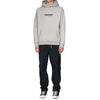 HAVEN Classic Logo Midweight Pullover Hoodie H.Grey (Archive), Sweaters